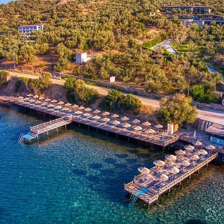 Assos Dionysos Special Class Hotel Adults Only 12 Years Buitenkant foto