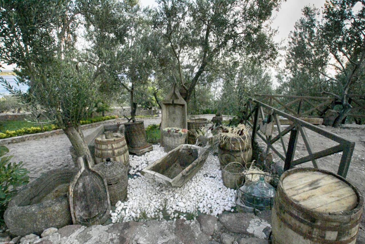 Assos Dionysos Special Class Hotel Adults Only 12 Years Buitenkant foto