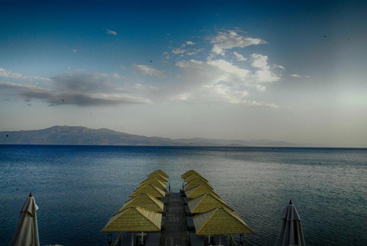 Assos Dionysos Special Class Hotel Adults Only 12 Years Buitenkant foto