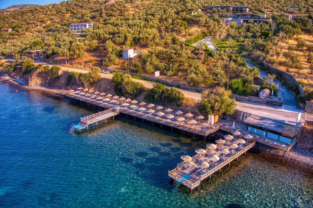 Assos Dionysos Special Class Hotel Adults Only 12 Years Buitenkant foto