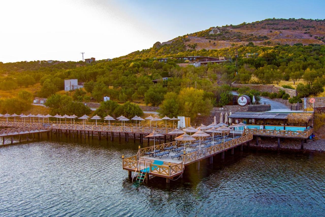 Assos Dionysos Special Class Hotel Adults Only 12 Years Buitenkant foto