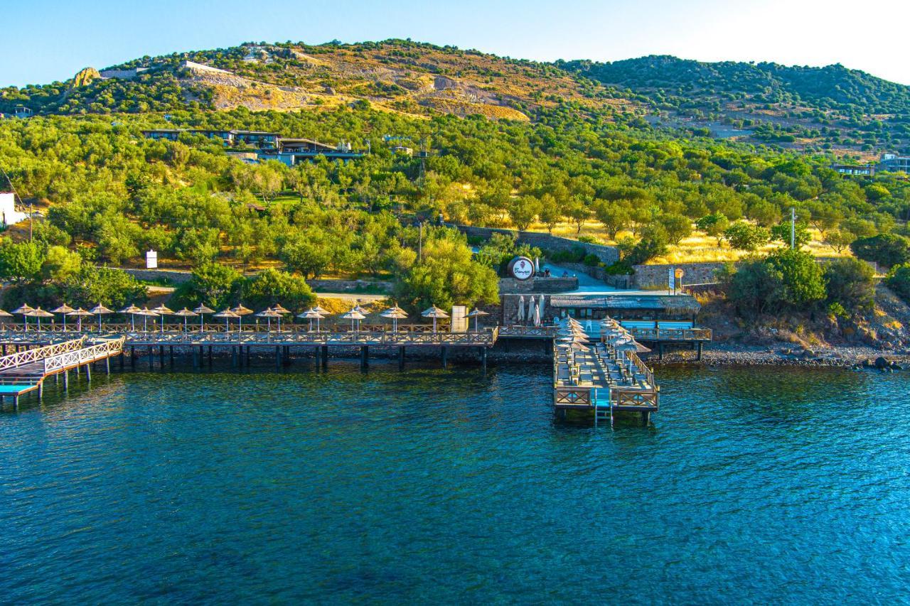 Assos Dionysos Special Class Hotel Adults Only 12 Years Buitenkant foto