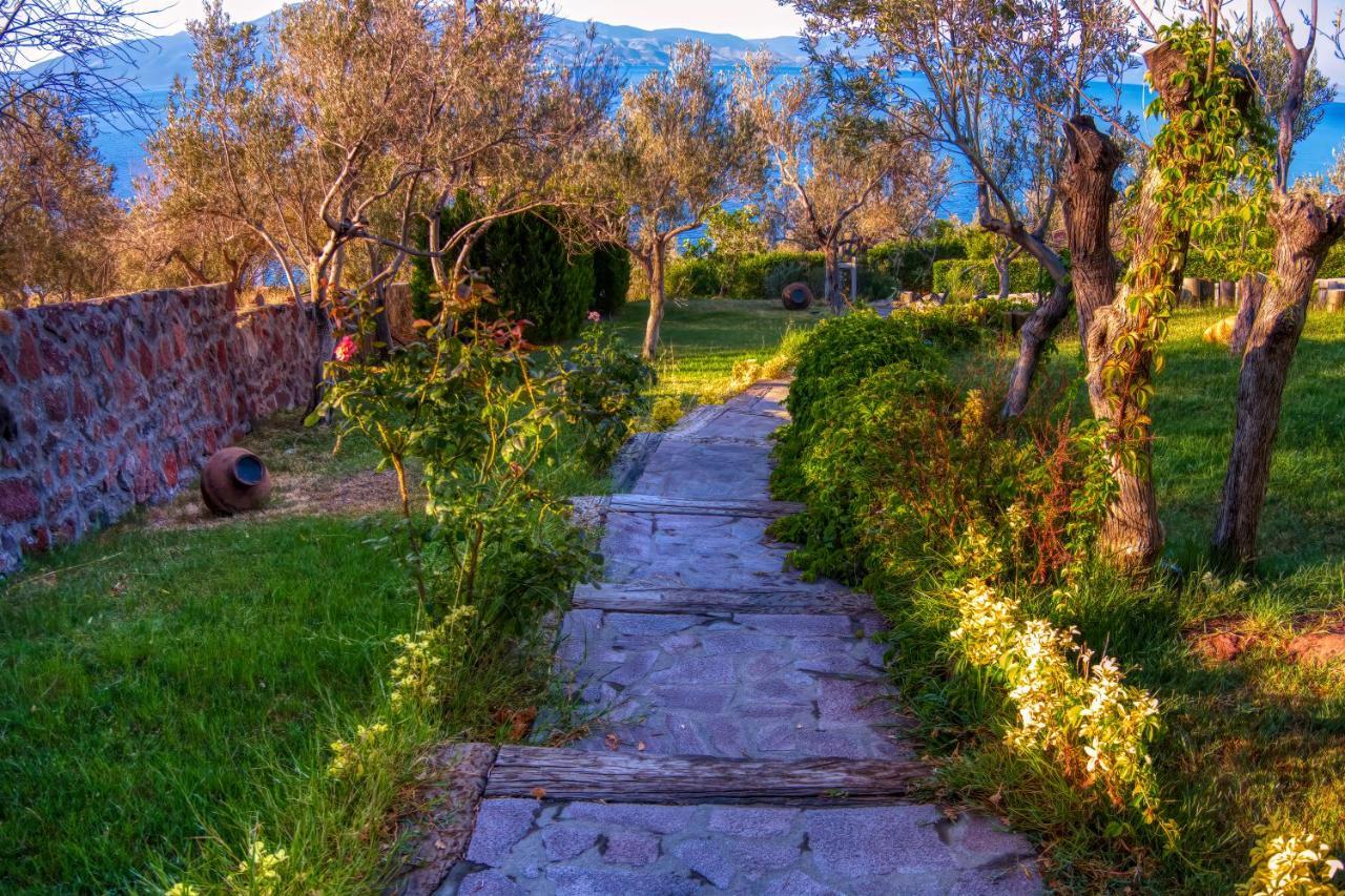 Assos Dionysos Special Class Hotel Adults Only 12 Years Buitenkant foto
