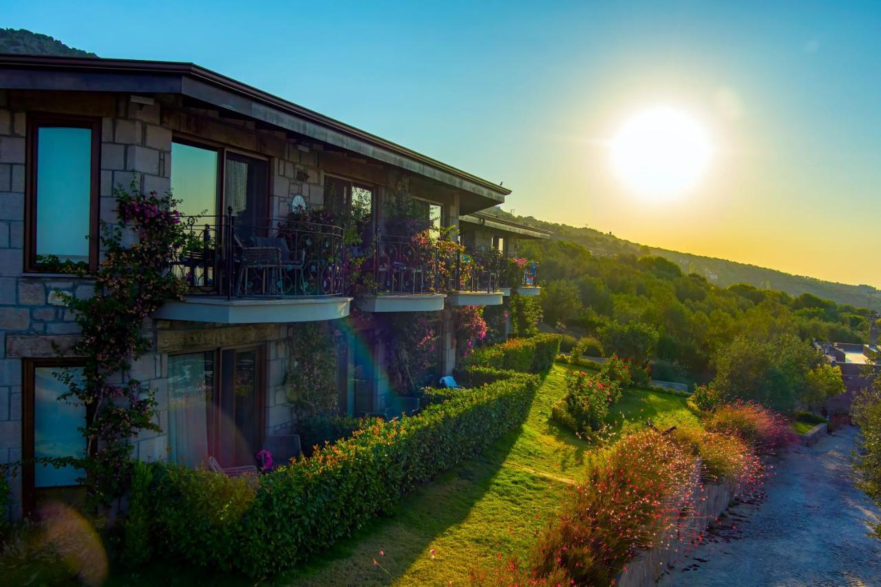 Assos Dionysos Special Class Hotel Adults Only 12 Years Buitenkant foto